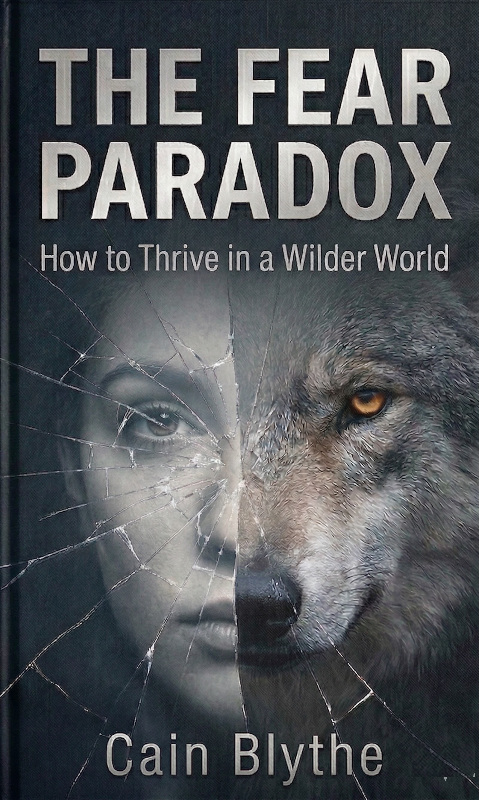 Cover of The Fear Paradox