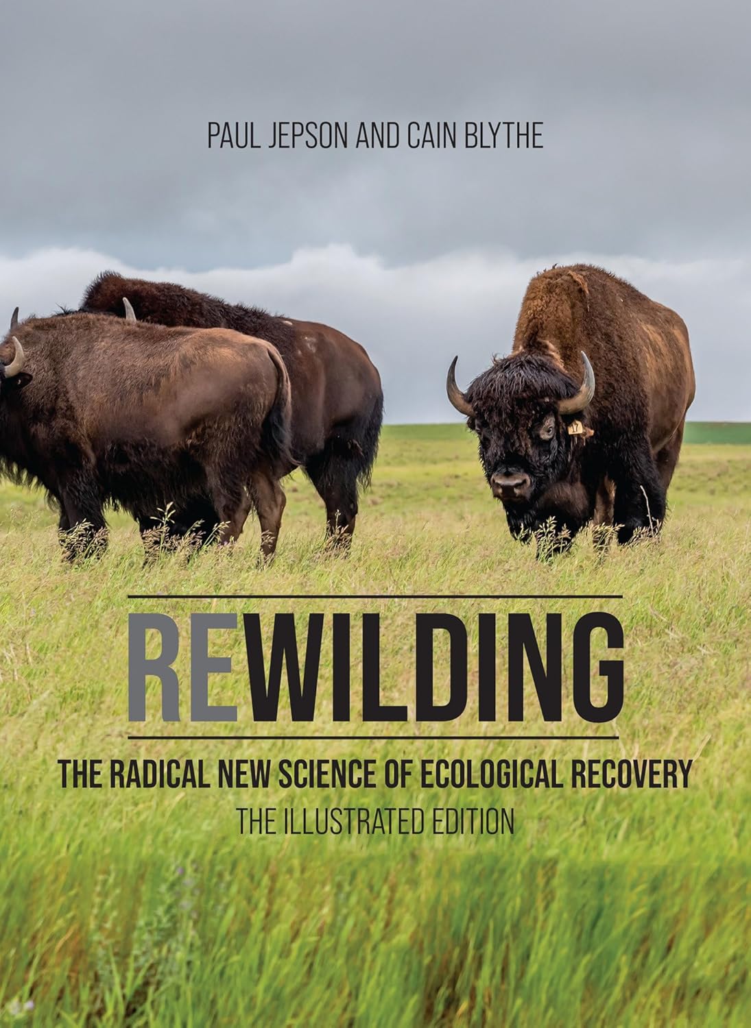 Cover of Rewilding: The Radical New Science of Ecological Recovery